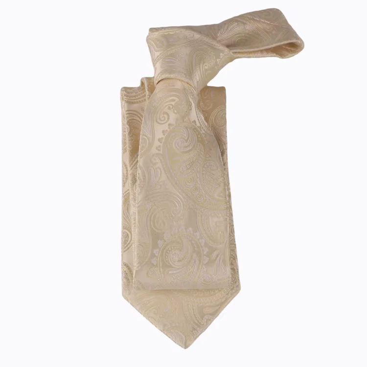 100-Polyester-Jacquard-Custom-Logo-Paisley-Pattern-Hand-Made-Ties-for-Party-Microfiber-Necktie-for-Men