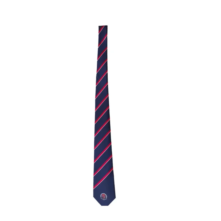 High-Quality-Colorful-Mens-Tie-Custom-LOGO-Boys-Uniform-Neck-Tie-School-Custom-Striped-Polyester-Ties